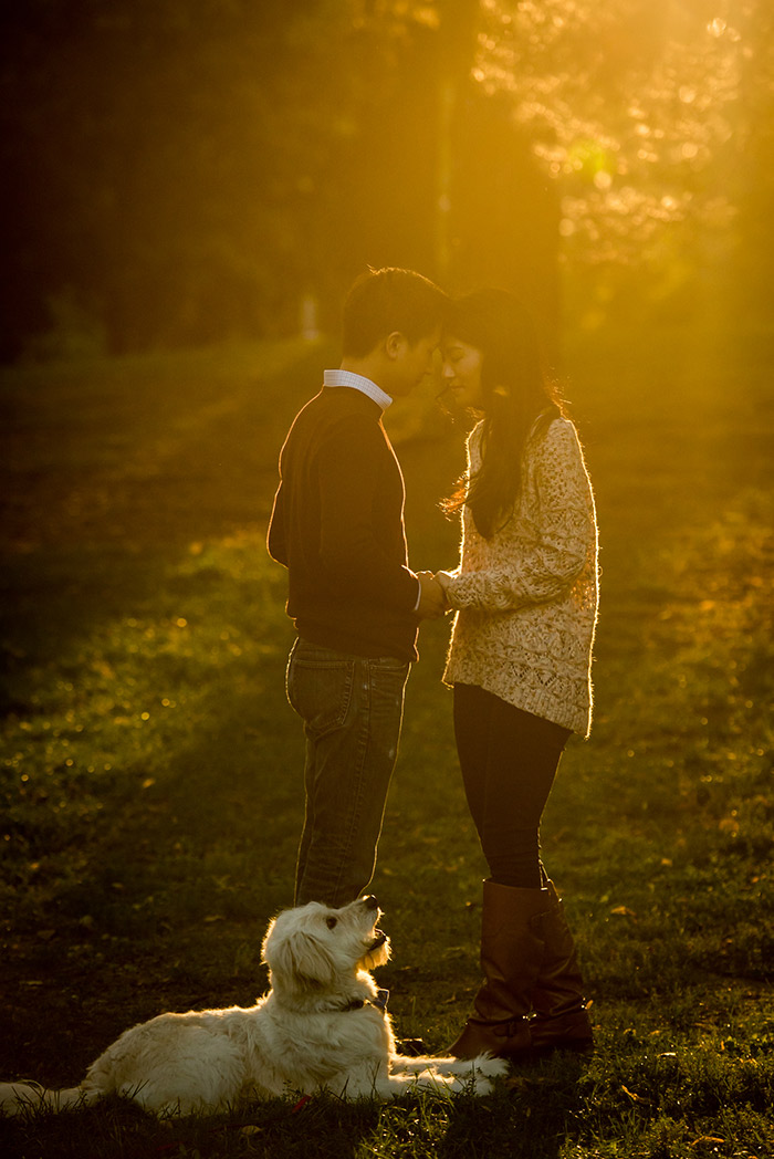 Toronto Engagement Photography